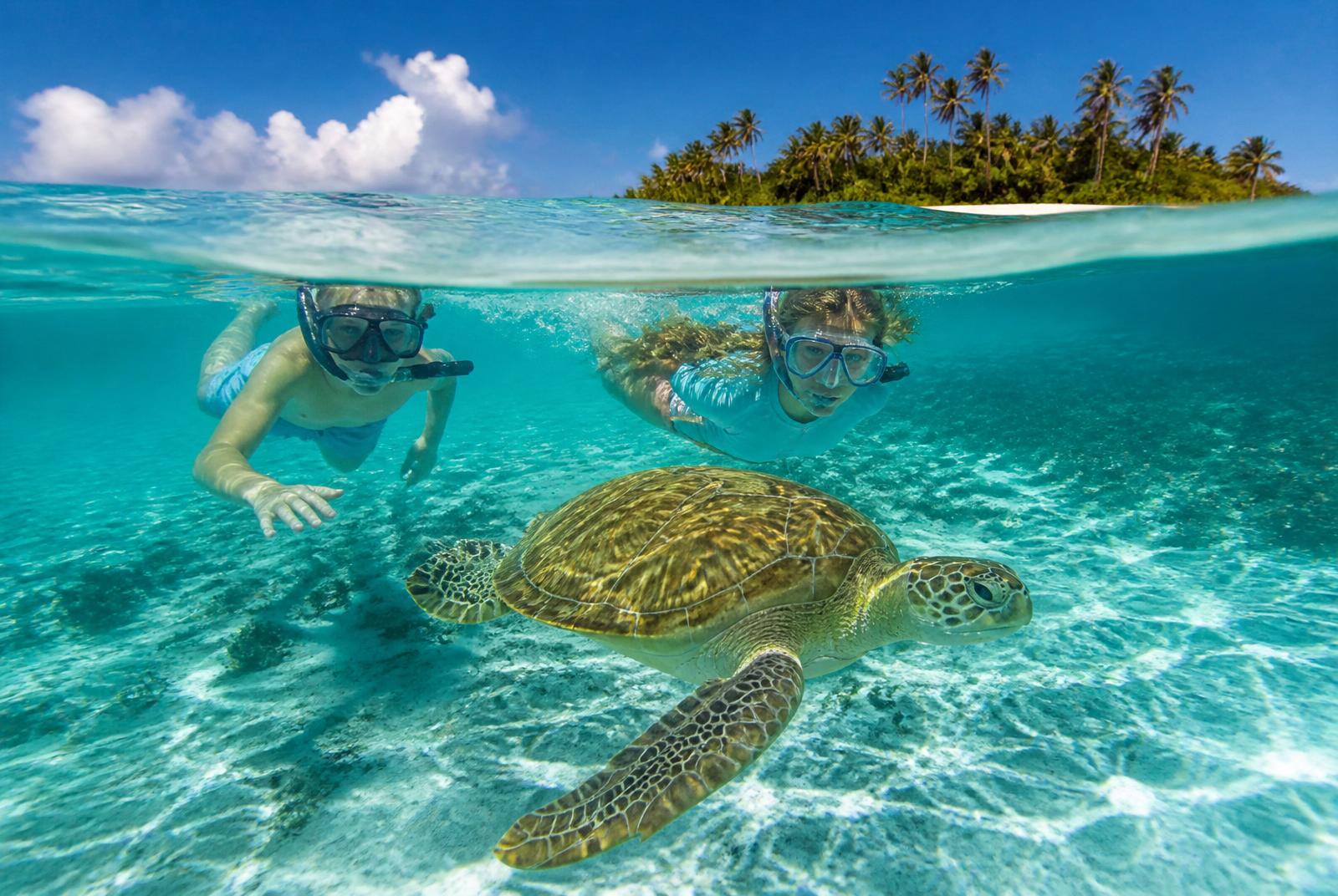 Snorkelling with turtles in the Tobago Cays Two children snorkelling with a green turtle in the clear shallow water of the Tobago Cays
